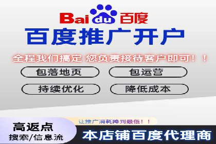 SEM专员的角色与成功案例解析